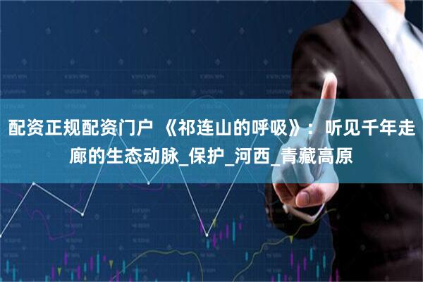配资正规配资门户 《祁连山的呼吸》：听见千年走廊的生态动脉_保护_河西_青藏高原